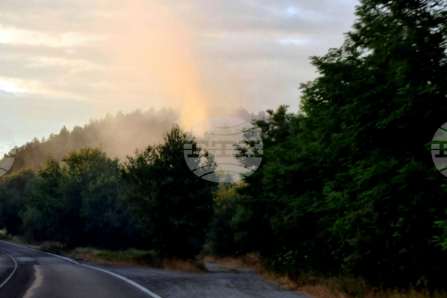 Пожар е възникнал снощи между селата Ваксево и Фролош в Кюстендилска област