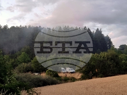 Село Мурсалево - пожар - гасене