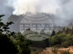 Село Мурсалево - пожар - гасене