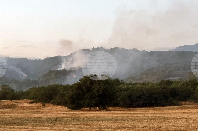 Потушен е пожар, горял в с. Баланово, община Дупница