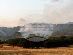 Село Мурсалево - пожар - гасене