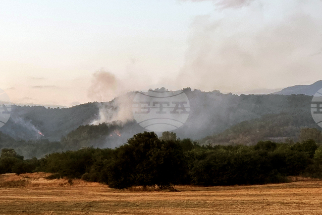 Пожарът, възникнал край с. Мурсалево, община Кочериново, е обхванал площ около 2000 дка