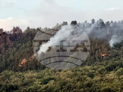 Село Мурсалево - пожар - гасене