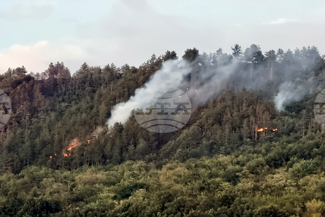 Продължава гасенето на пожара над река Илийна в Рила планина