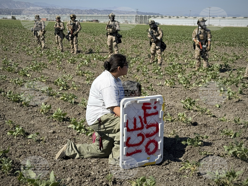 APTOPIX Immigration Raids California Farm