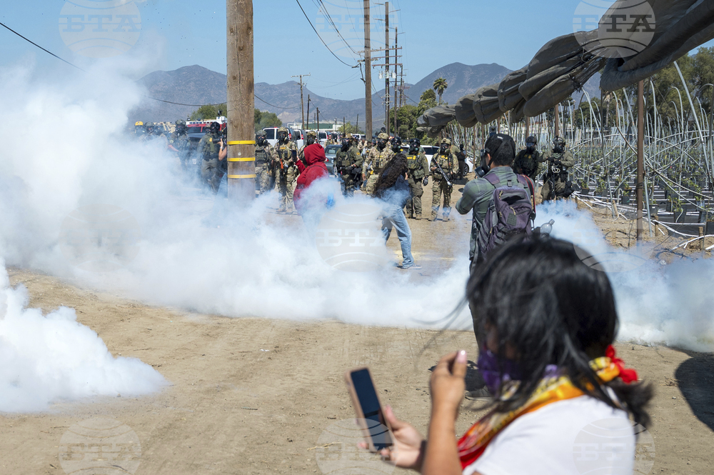 Immigration Raids California Farm