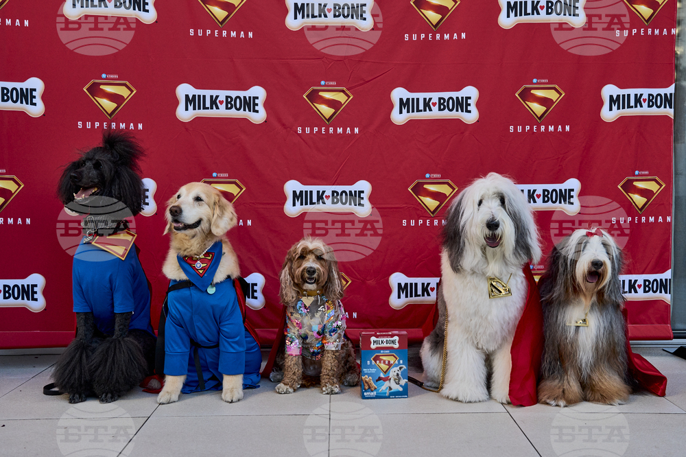 Milk-Bone x SUPERMAN