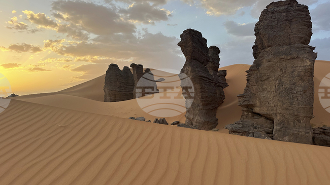 Проучване предвижда 75% повече валежи в пустинята Сахара във втората половина на XXI век