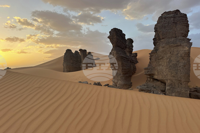 Проучване предвижда 75% повече валежи в пустинята Сахара във втората половина на XXI век