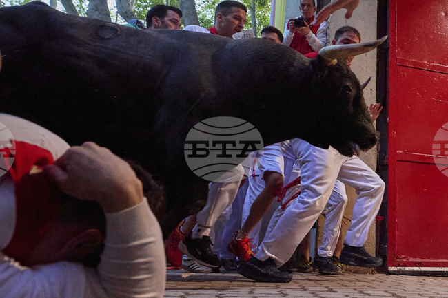 Един човек загина по време на надбягване с бикове в Южна Франция