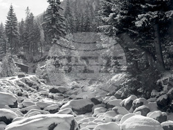 Парк "Рила" -  Пресфото – БТА/Архив