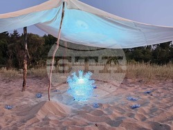  Изложба „Да запазим Корал: БЕЗПОЛЕЗНИ ИЗКОПАЕМИ НБУ 2025“ в галерия Арт 158