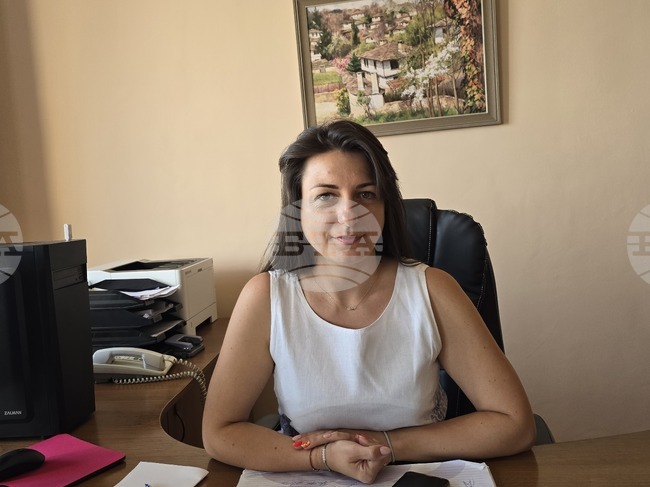 По-добри добиви на зърнените култури от миналата година отчитат земеделските производители в Ловешка област