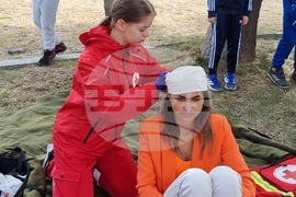 Радомир - учение за реакция при ПТП