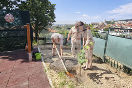Стара Загора - здравни центрове за деца - откриване