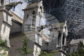 Франция - Париж - катедрала „Нотр Дам де Пари“ - туризъм