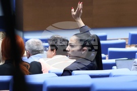 Народно събрание - парламентарен контрол