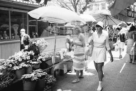 Пазарът „Римска стена“ в София през 80-те години на 20-и век