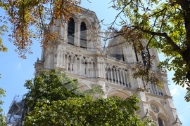 Франция - Париж - катедрала „Нотр Дам де Пари“ - туризъм