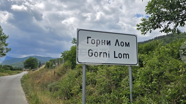 Фестивал на боровинките се организира за първи път в село Горни Лом