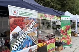 Самоков - фестивал на малината