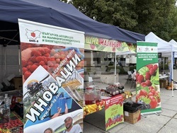 Самоков - фестивал на малината