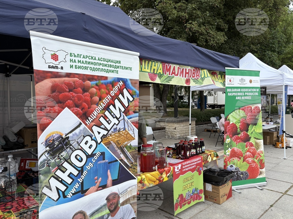 Самоков - фестивал на малината