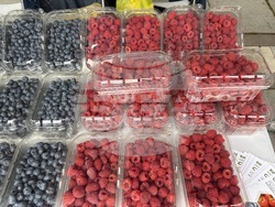 Самоков - фестивал на малината