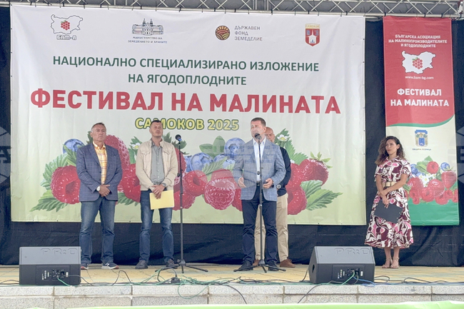 Самоковското плато става изключително гостоприемен ареал за отглеждане на малини и ягодоплодни, според браншова организация