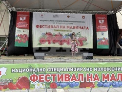 Самоков - фестивал на малината