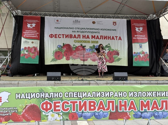 Самоков отново ще бъде домакин на Фестивала на малината и на 11-ото изложение на малинопроизводителите