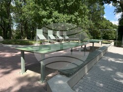 Снимка: Асоциация за инсулт и афазия 