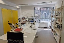 Пловдив - Археологически музей - обновяване на лабораторията