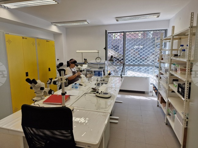 Пловдив - Археологически музей - обновяване на лабораторията