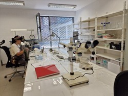 Пловдив - Археологически музей - обновяване на лабораторията