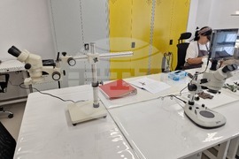 Пловдив - Археологически музей - обновяване на лабораторията