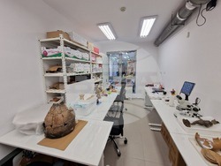 Пловдив - Археологически музей - обновяване на лабораторията