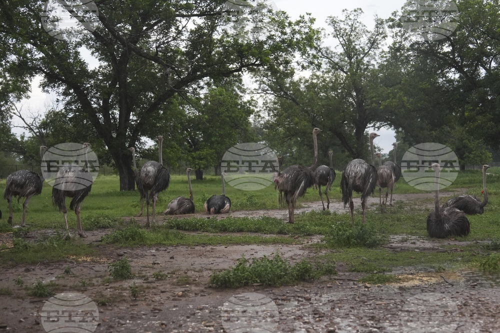 Climate Texas Floods Farmers