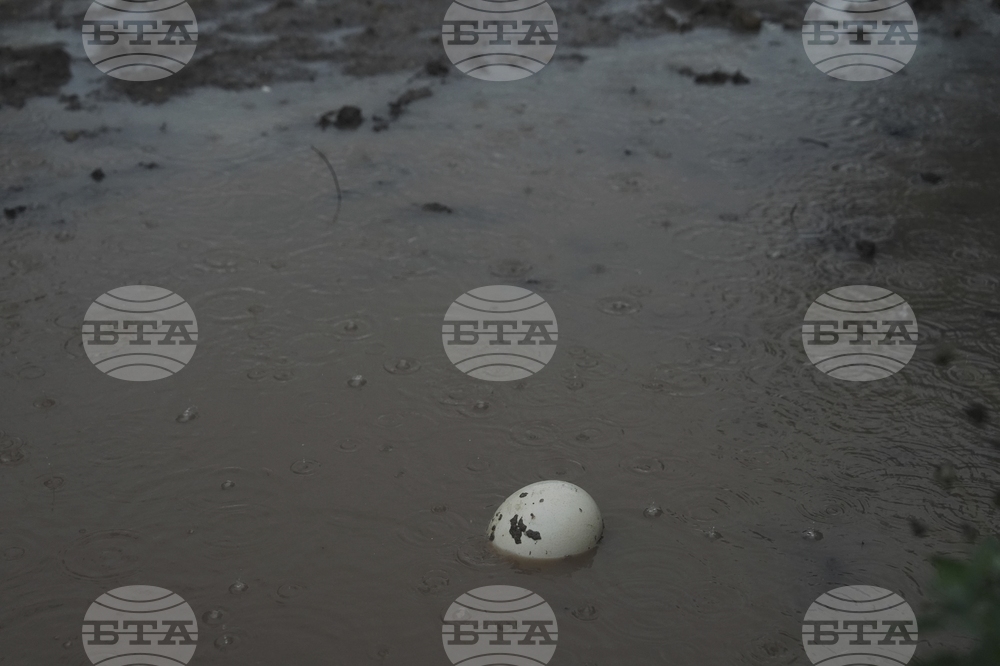 Climate Texas Floods Farmers