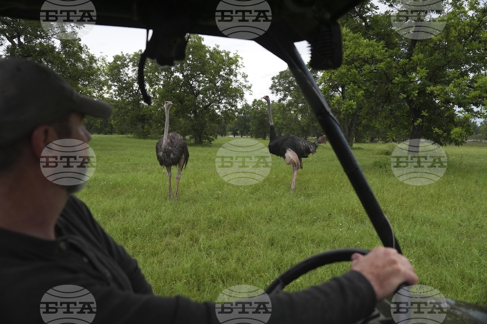 Climate Texas Floods Farmers