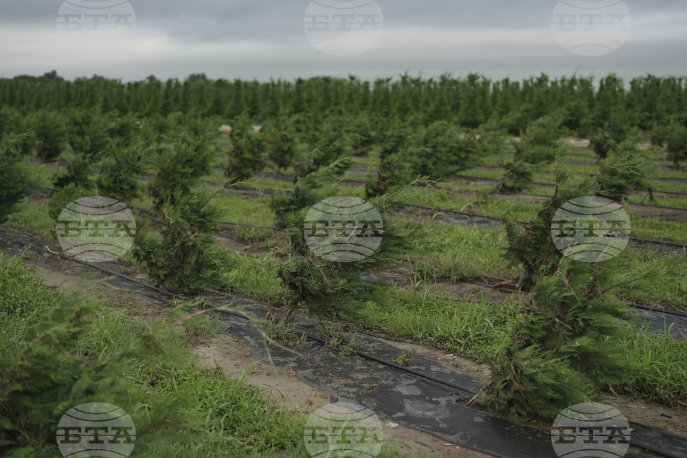 Climate Texas Floods Farmers