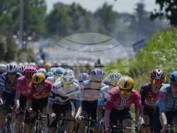 Cycling Tour de France