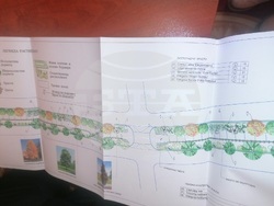 Община Сливен: Улица „Никола Фурнаджиев“ става зелен коридор между Градската градина и парк „Юнак“ в Сливен