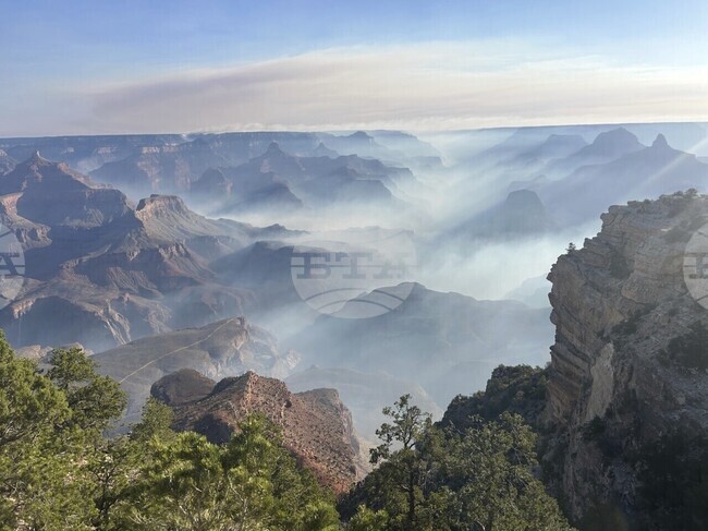 Горски пожари наложиха евакуация в национални паркове в западната част на САЩ