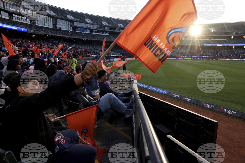 Coliseum Cricket