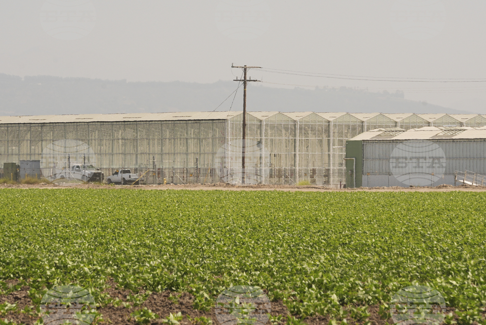 Immigration Raids California Farm