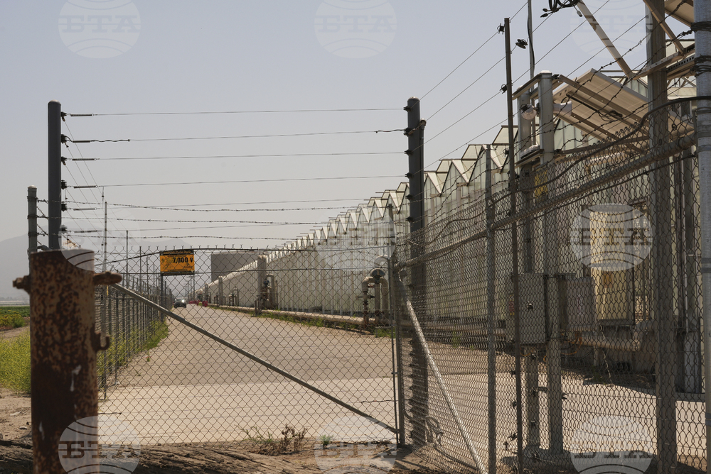 Immigration Raids California Farm