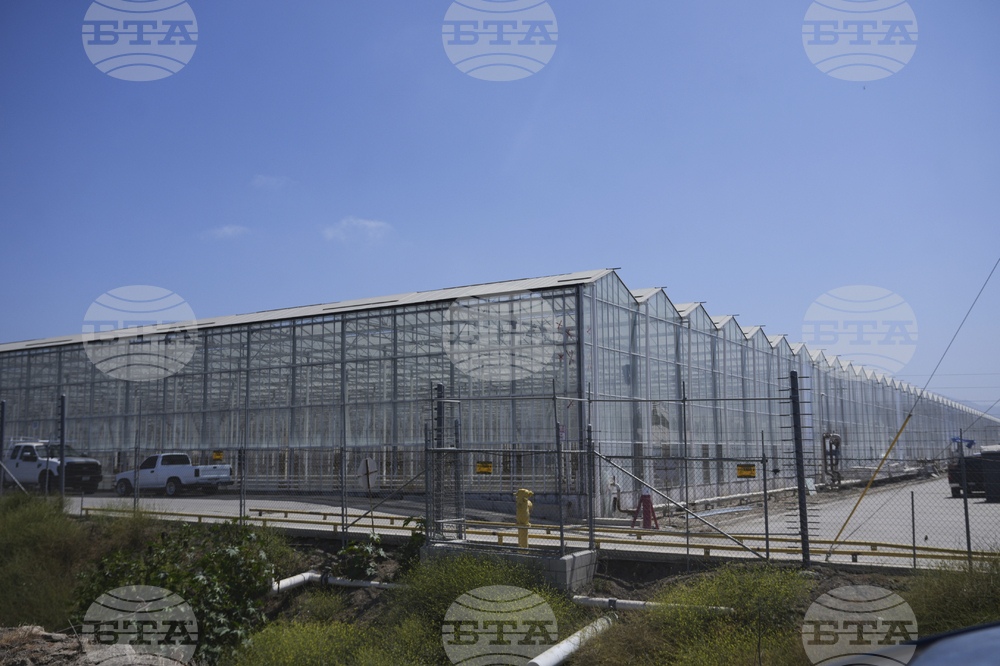 Immigration Raids California Farm
