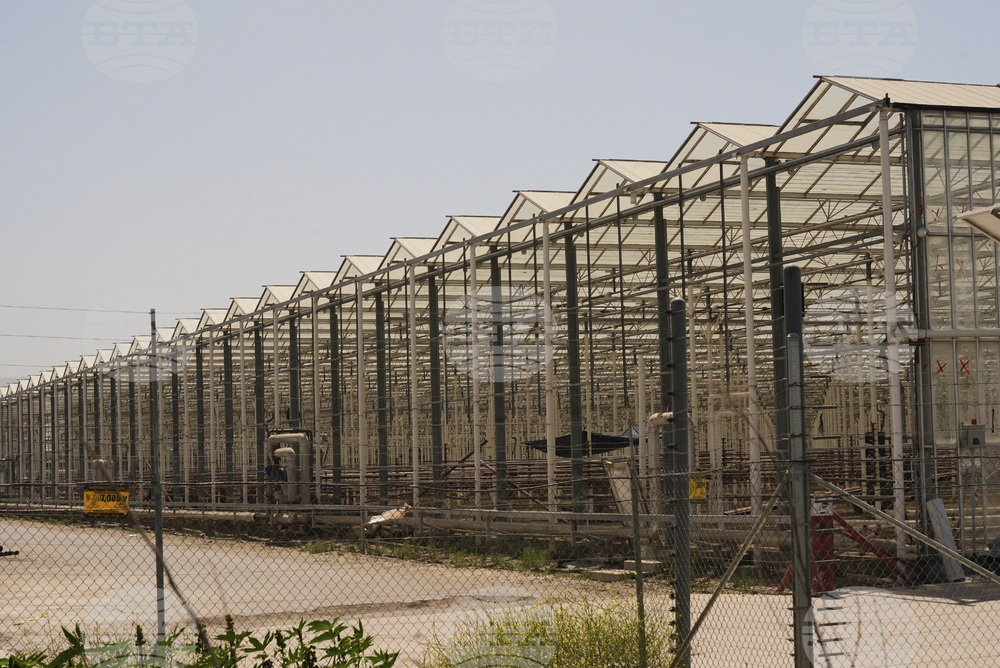 Immigration Raids California Farm