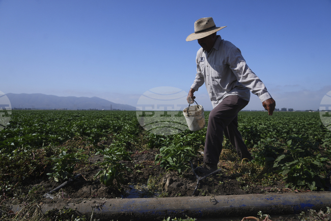 Имигрантите в девет страни в Западна Европа и Северна Америка печелят средно със 17,9 на сто по-малко от местните, според проучване